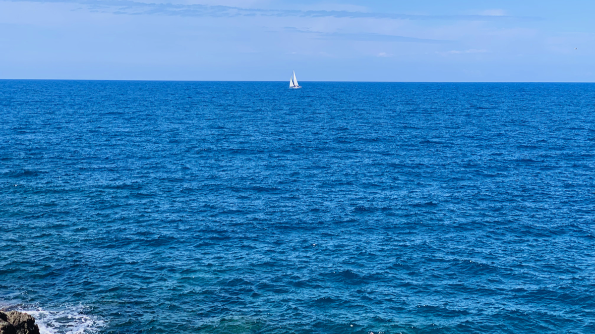 Stacks Image 611