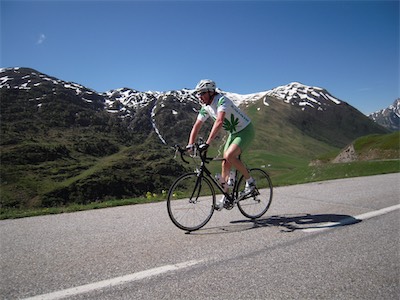 In de Alpen     