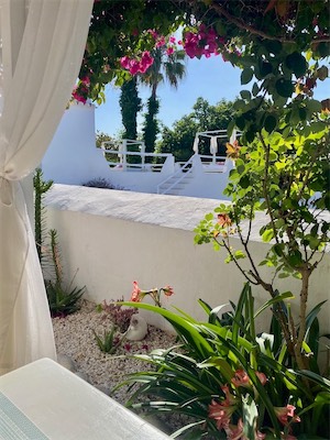 ibiza-101.jpg