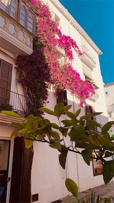 ibiza-139.jpg