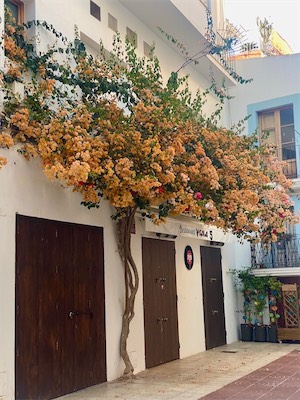 ibiza-152.jpg