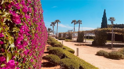 ibiza-53.jpg