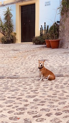 ibiza-75.jpg