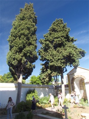 algarve-98.jpg