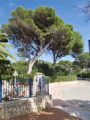 menorca-110.jpg