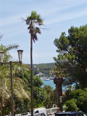 menorca-37.jpg