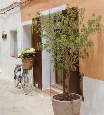 menorca-68.jpg